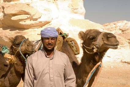 camels