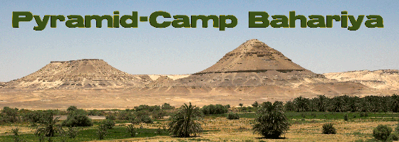 pyramid camp